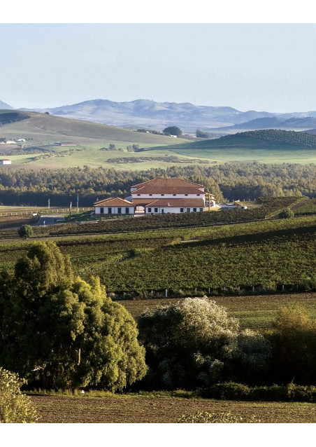 Barbazul Tinto 2018 Huerta de Albalá Tierra de Cadiz