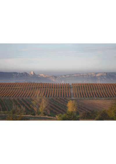 Die Lage La Loma von Bodegas Muga bei Haro, der Weinhauptstadt von La Rioja