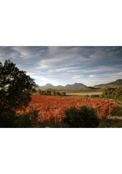 Die Lage La Laguna von Bodegas Muga bei Haro, der Weinhauptstadt von La Rioja