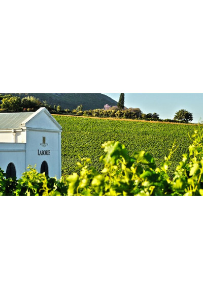 Shiraz 2016 Laborie Wine Farm Western Cape