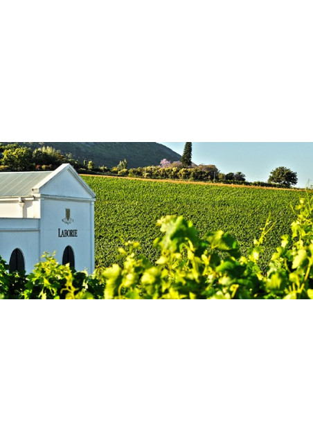 Shiraz 2016 Laborie Wine Farm Western Cape