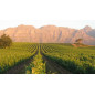 Cabernet Sauvignon Magnum Vineyard Selection 2018 Kleine Zalze Stellenbosch