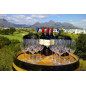 Cabernet Sauvignon Vineyard Selection 2012 Kleine Zalze Stellenbosch