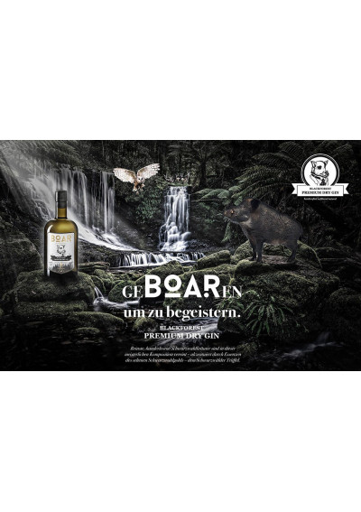 Boar Gin - Black Forest Dry Gin