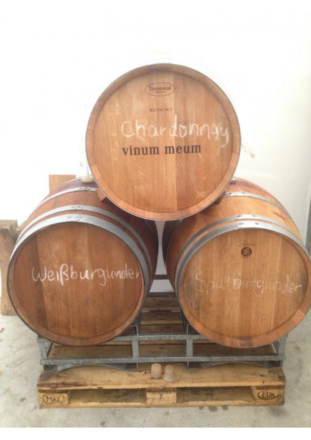 Spätburgunder 2015 trocken Ruppertsberger Nussbien Vinum Meum Pfalz