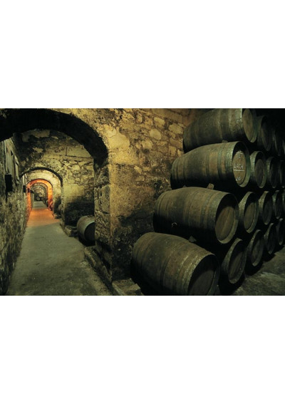 Alter Weinkeller von Marqués de Riscal in Elciego