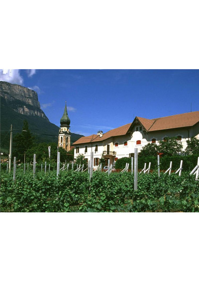 Weingut Cantina St. Pauls in Südtirol
