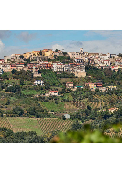 Blick auf Montefusco und Weingut Terredeora Dipaolo