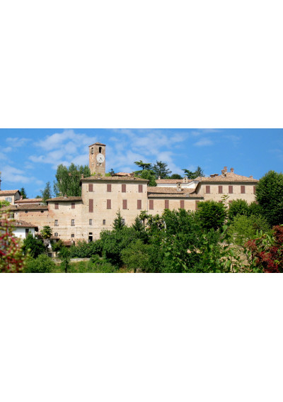 Barbera d'Alba Vigna Santo Stefano 2016 Castello di Neive Piemont