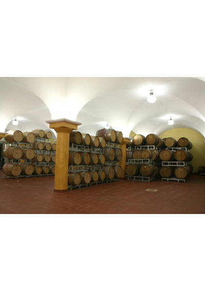 Im Weinkeller der Azienda Agricola Stefano Accordini