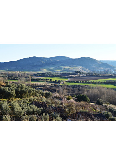 Landschaft mit Weinberg der Hacienda Grimon, La Rioja