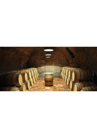 Im Weinkeller der Bodegas Leda in Tudela de Duero