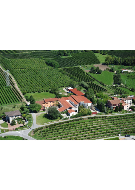 Chardonnay Verona IGT 2023 Azienda Gorgo Custoza