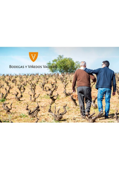 Sitio de Valdehermoso 2023 Bodegas Valderiz Ribera del Duero