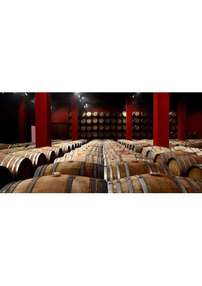 Boscana Silvestre Crianza Tinto 2021 Costers del Sio Costers del Segre