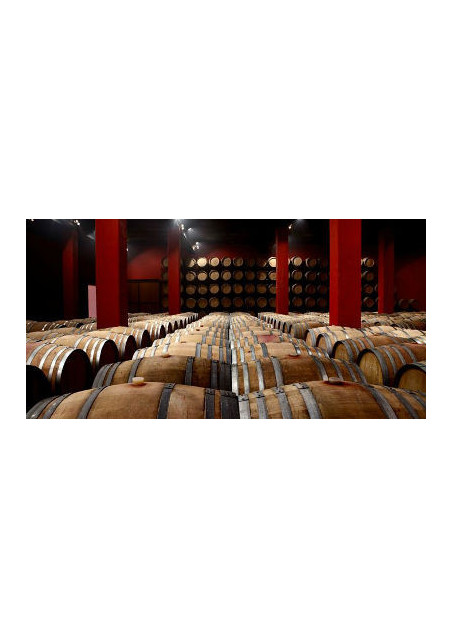 Boscana Silvestre Crianza Tinto 2021 Costers del Sio Costers del Segre