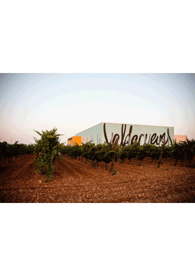 Bodegas Valdecuevas in Rueda