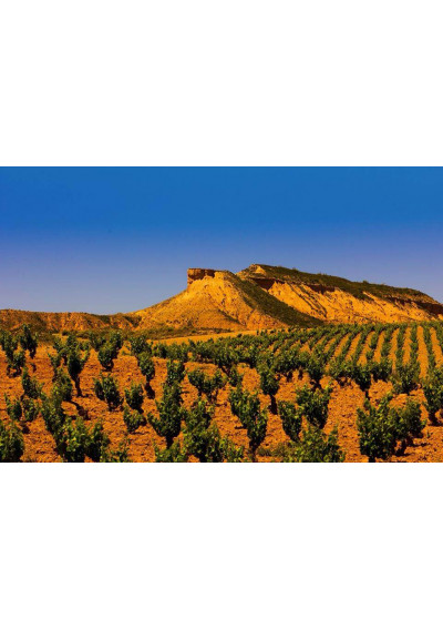 Care Crianza Nativa 2021 Bodegas Añadas Cariñena