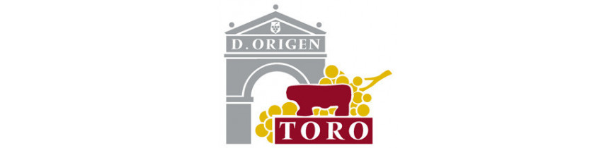 Spanischer Toro - erlesene Weine aus Kastilien in Spanien