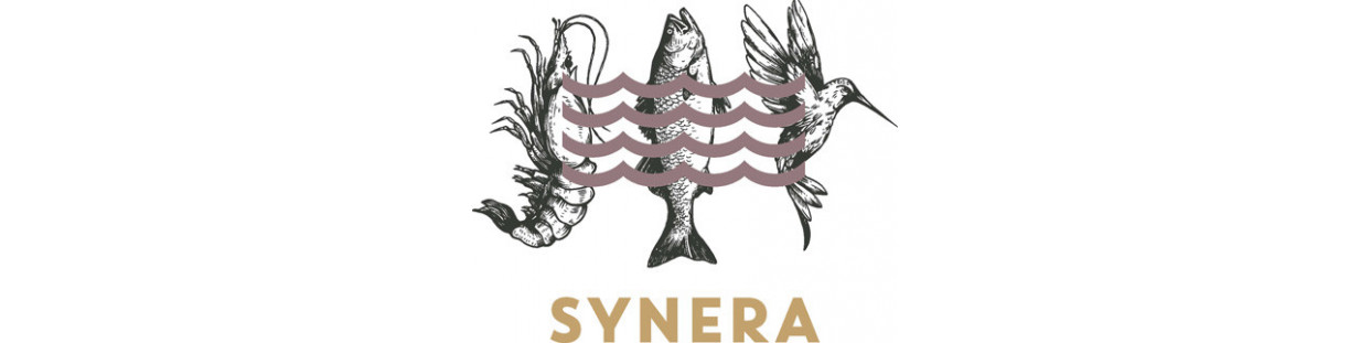 Synera Bodea 1898