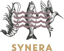 Synera Bodega 1898