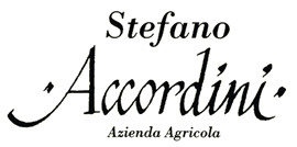 Stefano Accordini